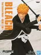 BLEACH Soul Entered Model -Ichigo Kurosaki-