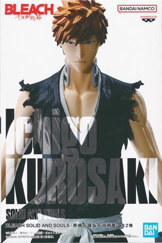 BLEACH SOLID AND SOULS -Ichigo Kurosaki &amp; Uryu Ishida- Ichigo Kurosaki (Ichigo Kurosaki)